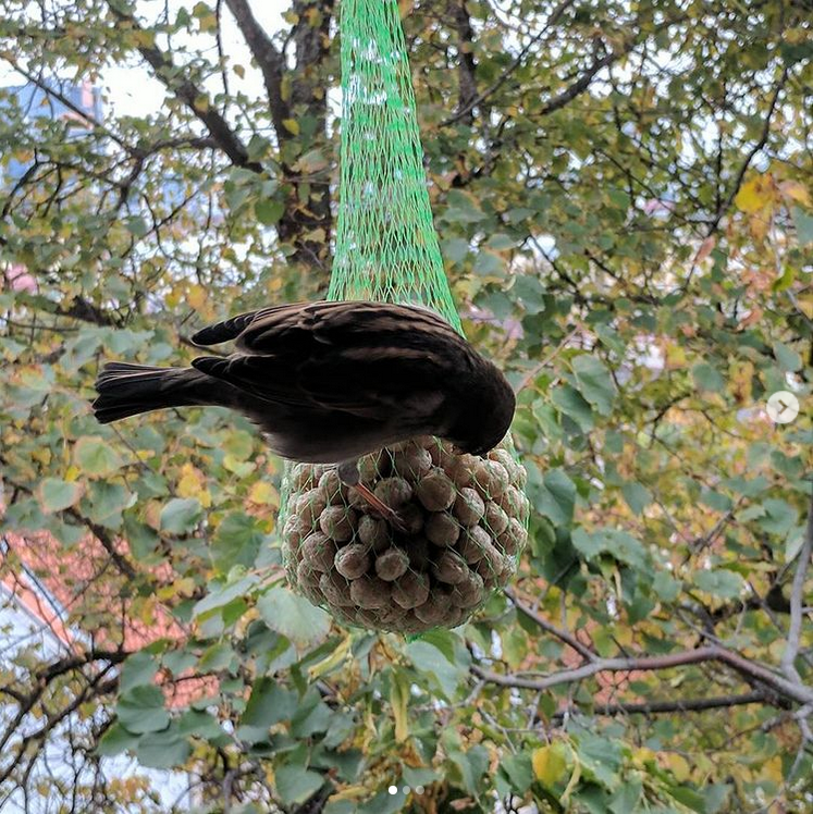 Tout le monde est le bienvenu !