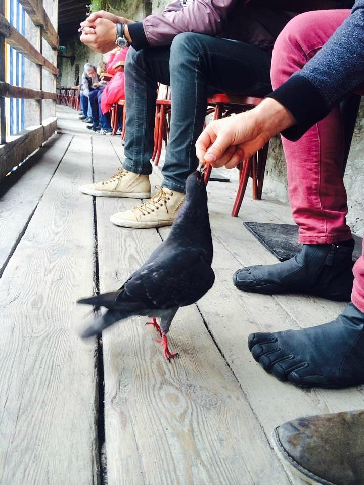 Notre invité spécial !